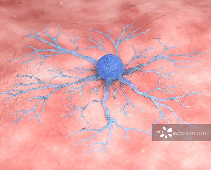 人类癌细胞图片素材