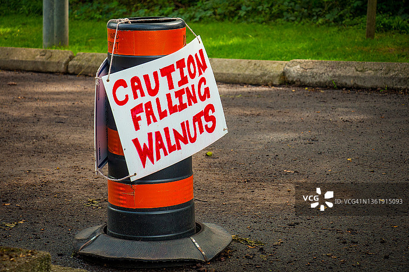 当心掉落的核桃图片素材