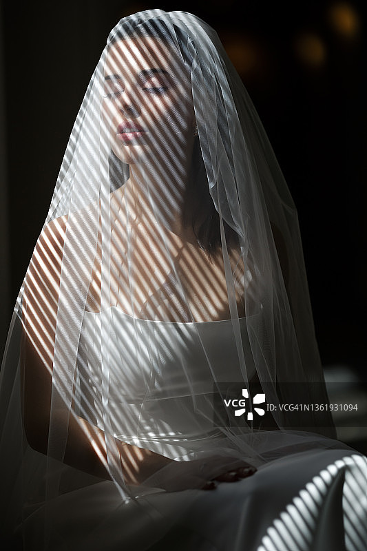 阳光下戴着面纱的典雅年轻新娘图片素材