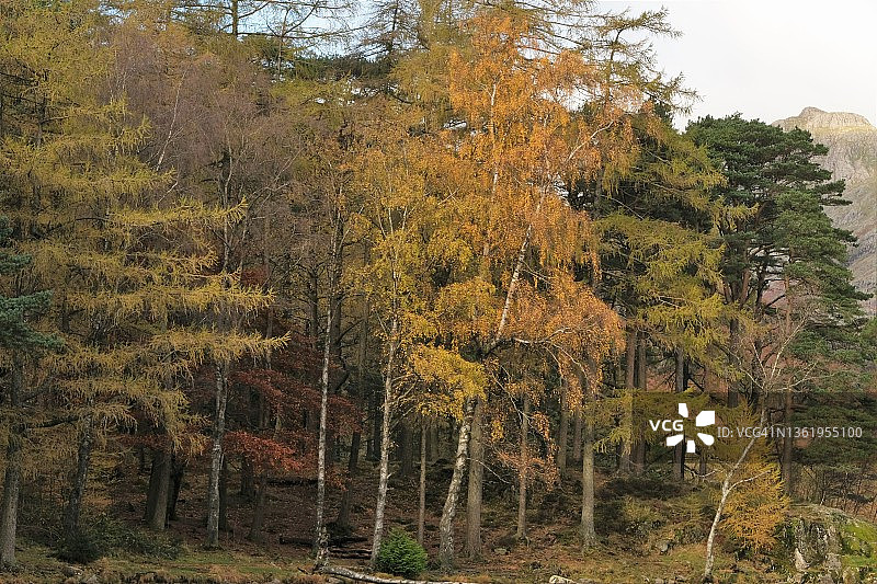 塔恩豪斯风景，湖区国家公园图片素材