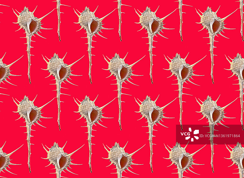 海螺贝壳红色背景无缝图案图片素材