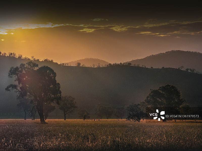 澳大利亚维多利亚州科里扬乡村地区夏季傍晚的黄昏图片素材