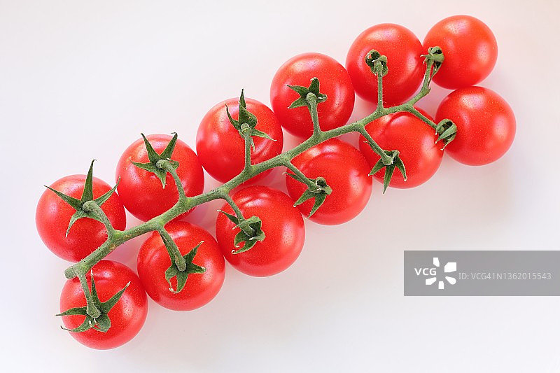 迷你番茄，带茎的樱桃番茄图片素材