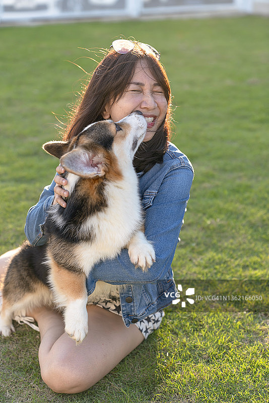 快乐相伴，年轻的亚洲女性与可爱的柯基犬在户外草地上享受日落图片素材