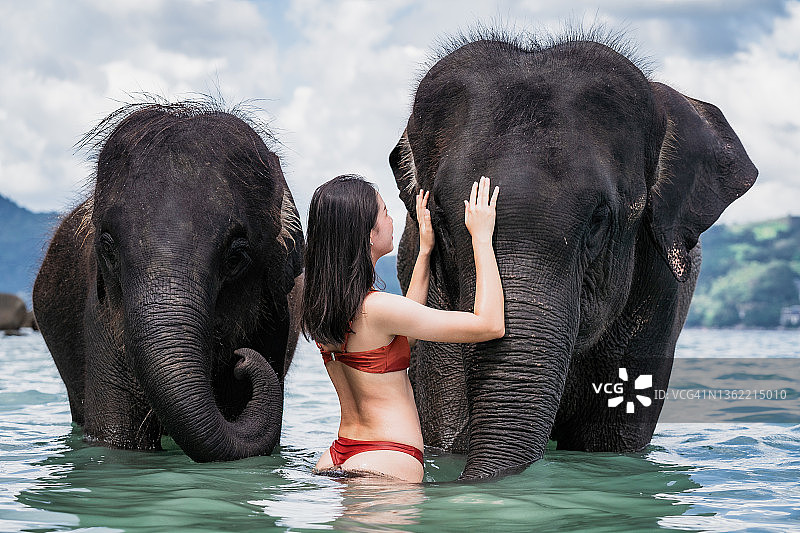 女人在海边与大象玩耍图片素材