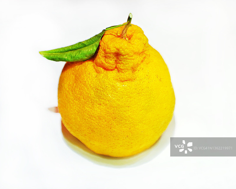 不知火柑图片素材