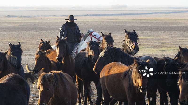 马群和牧马人背景图片素材