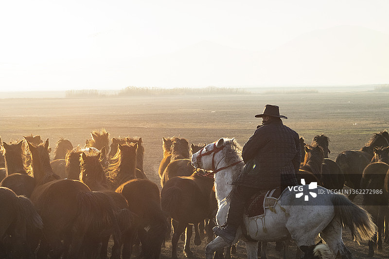 马群和牧马人背景图片素材