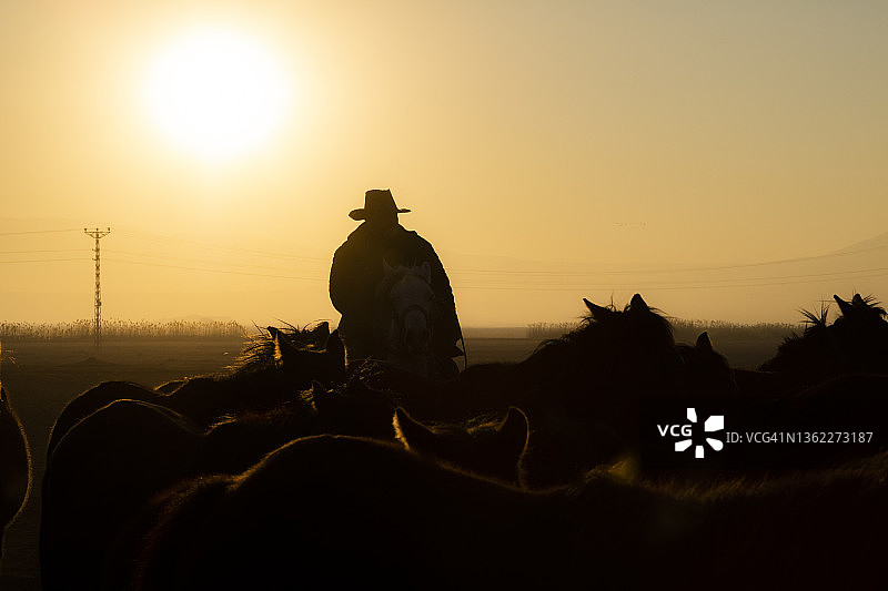 马群和牧马人背景图片素材