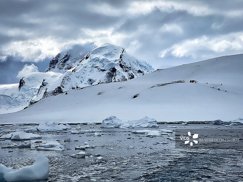 在南极企鹅栖息地雪坡上的游客图片素材