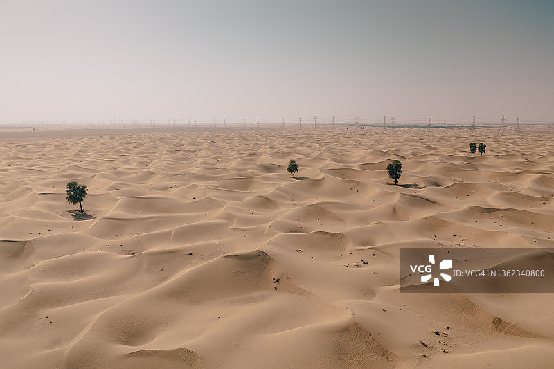 迪拜的沙漠树木与电线塔（航拍视角），阿拉伯联合酋长国图片素材