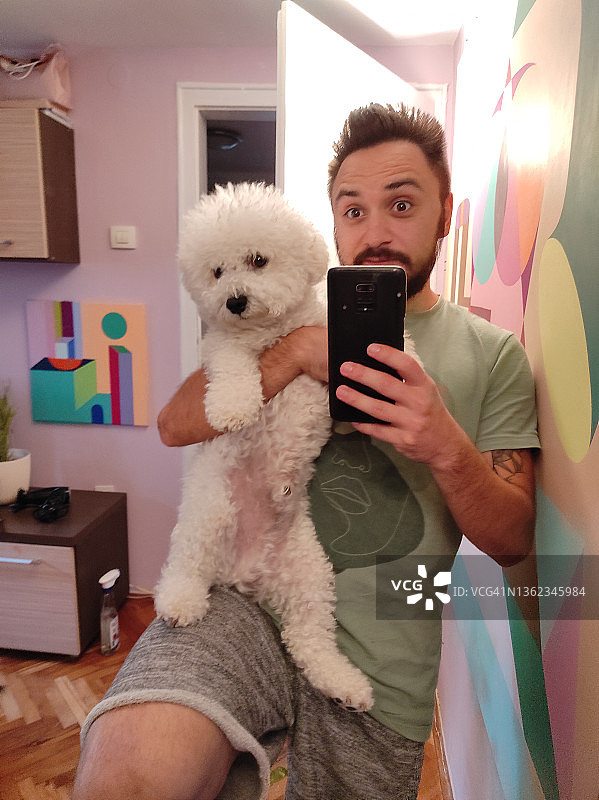 我爱我的比熊犬图片素材