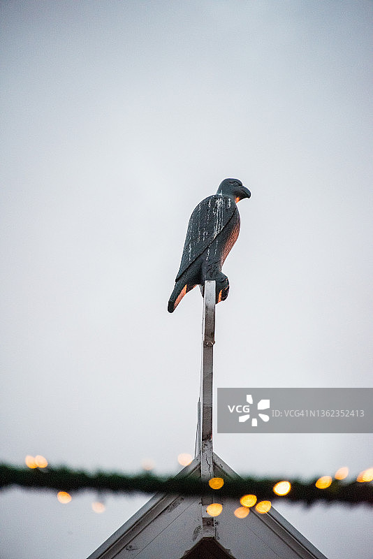 雷克雅未克猎鹰馆的木制猎鹰图片素材