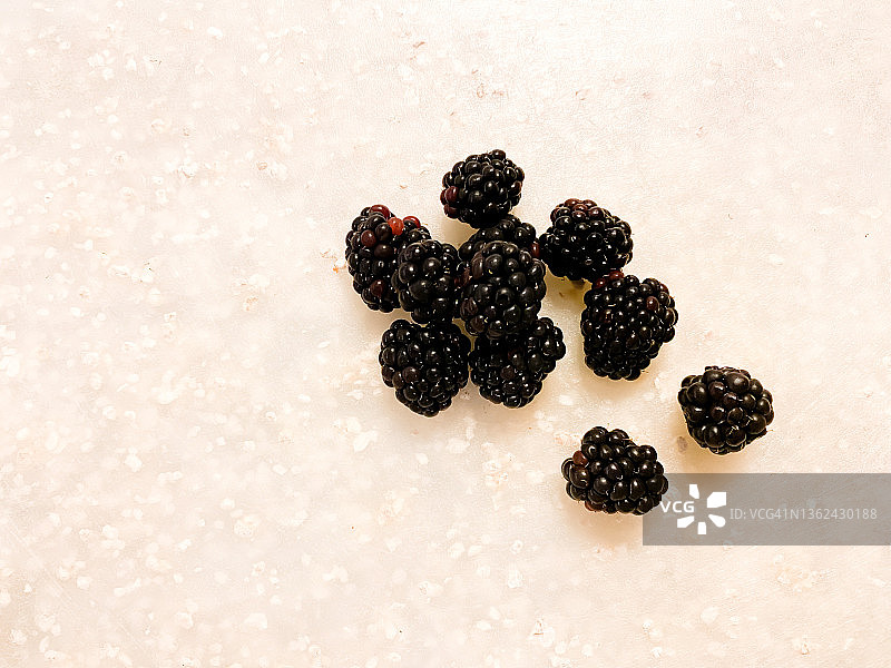 白色背景上的新鲜黑莓图片素材