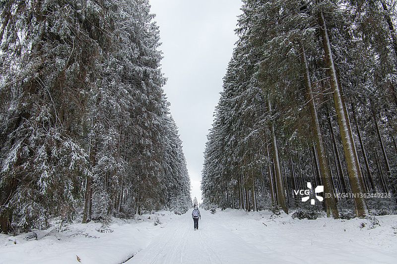 阿登地区的冬季图片素材