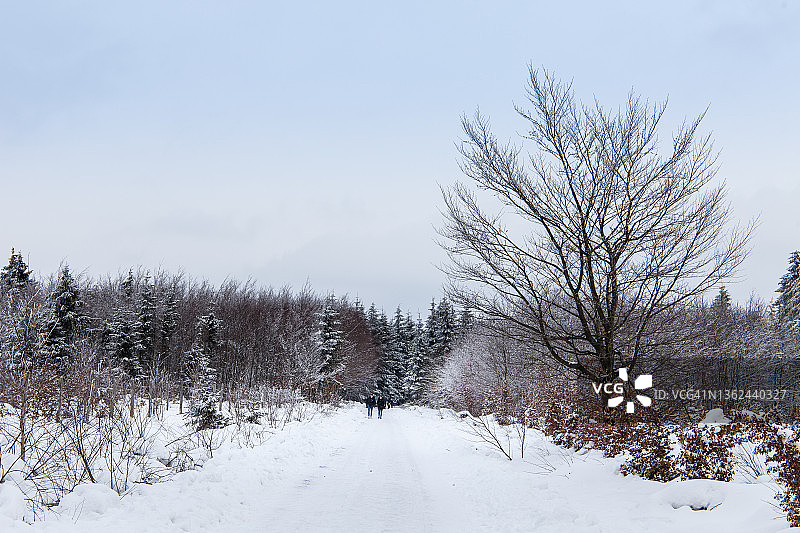 阿登地区的冬季图片素材