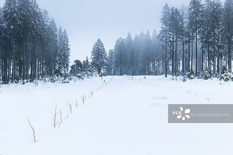 阿登地区的冬季图片素材