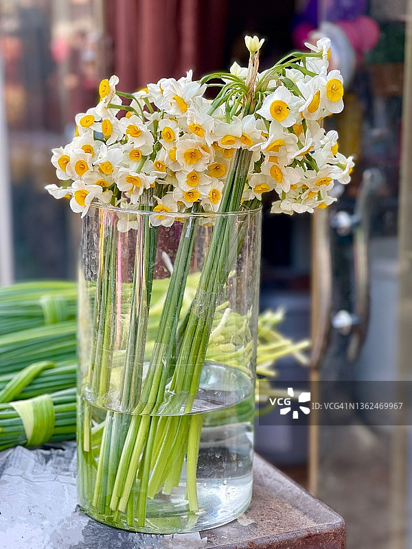 水仙花图片素材