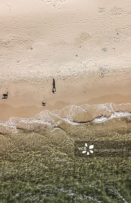 男子在海滩遛狗的航拍照片图片素材