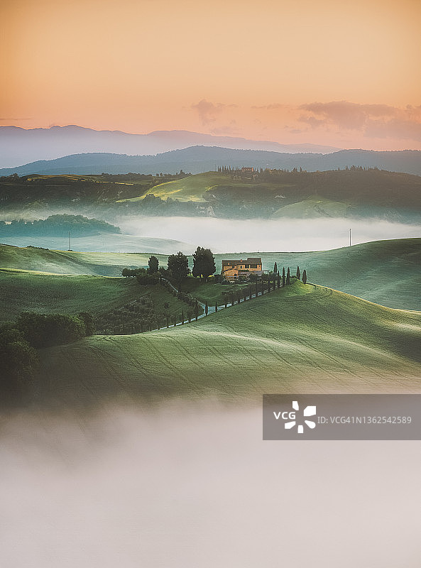 托斯卡纳日出景观：绿色山丘和意大利柏树图片素材