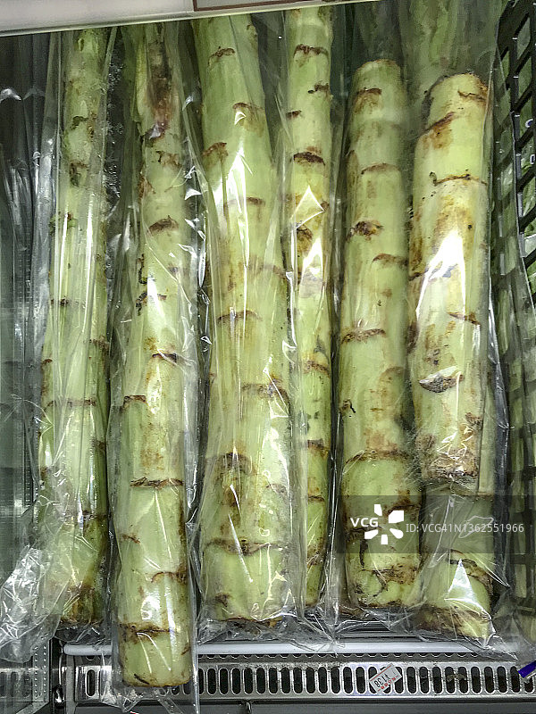 莴笋（Lactuca sativa var. augustana）图片素材