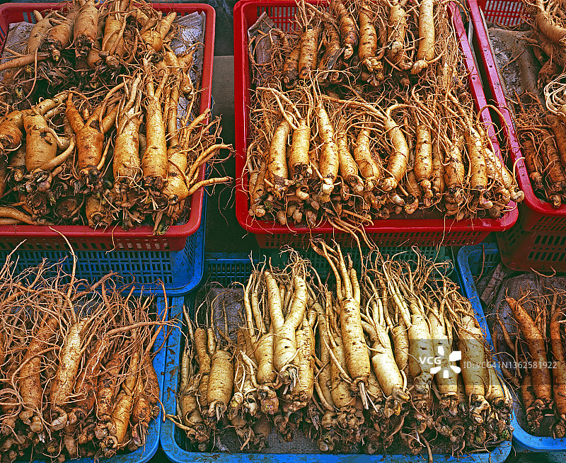 首尔市场的人参根图片素材