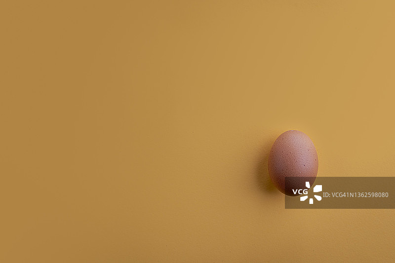 蛋图片素材