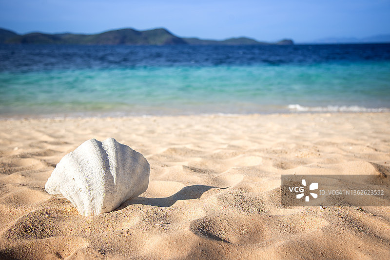 沙滩上的贝壳图片素材