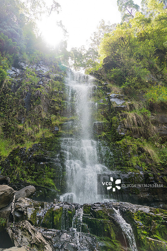 厄斯金瀑布 | 大奥特威国家公园 | 维多利亚州 | 澳大利亚图片素材