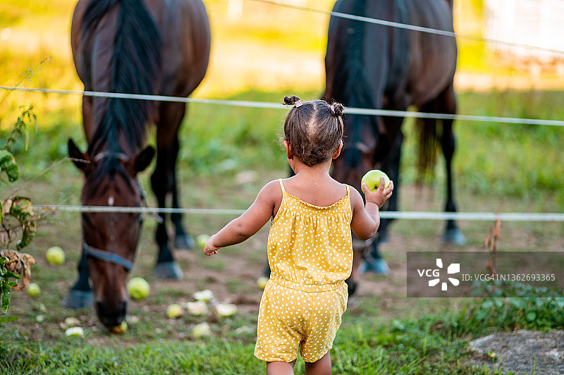 走向马群的小女孩图片素材