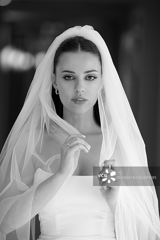 黑白室内新娘肖像照图片素材
