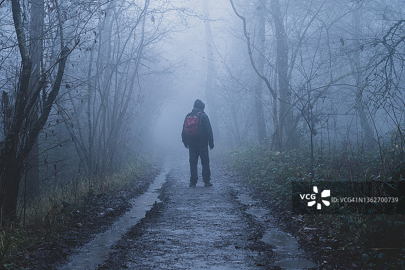 冬季幽暗雾林徒步者图片素材