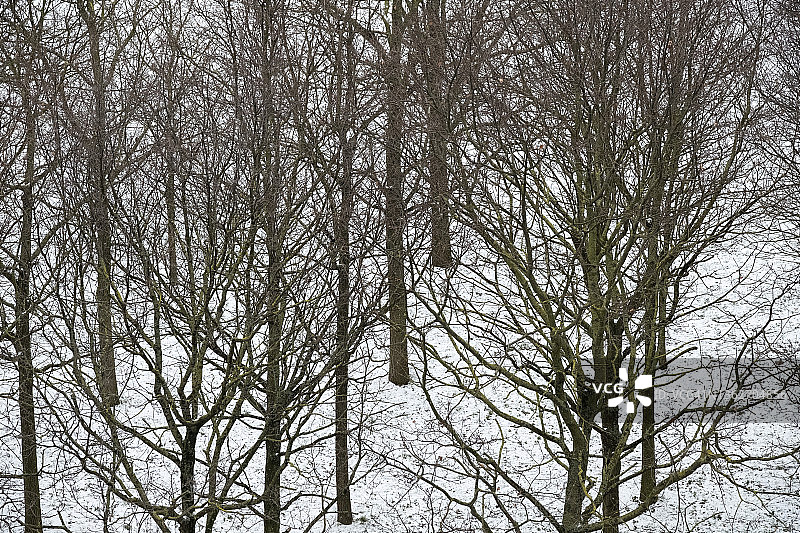 冬雪覆盖的公园图片素材