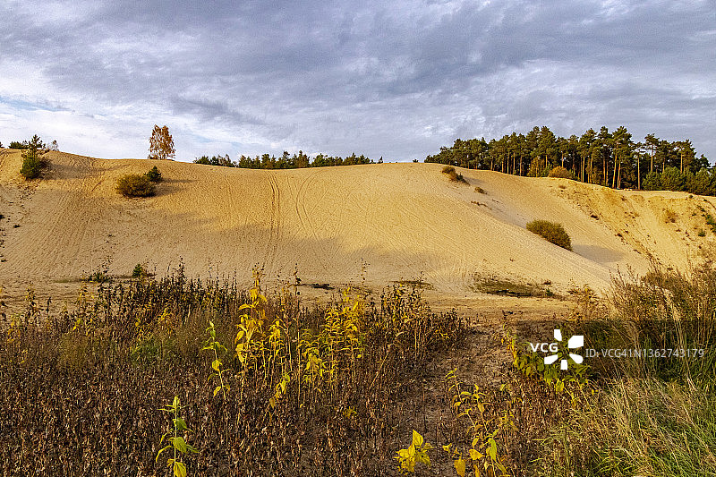 德国勃兰登堡州的干旱景观图片素材