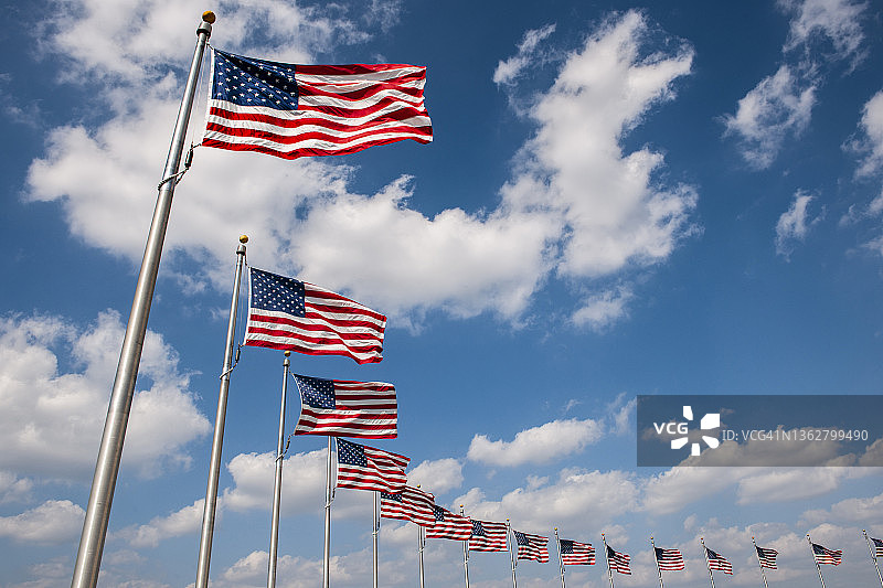 美国华盛顿特区：华盛顿纪念碑周围的美国国旗图片素材