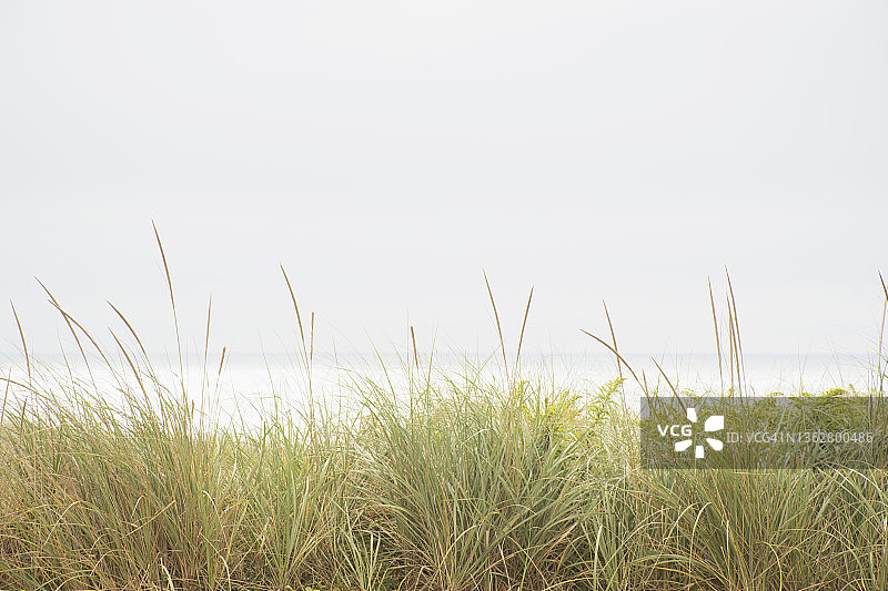 美国马萨诸塞州科德角楠塔基特岛沙丘上的海滩景色图片素材