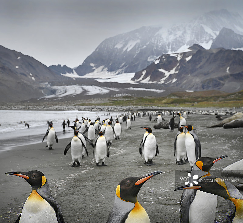 南乔治亚图片素材