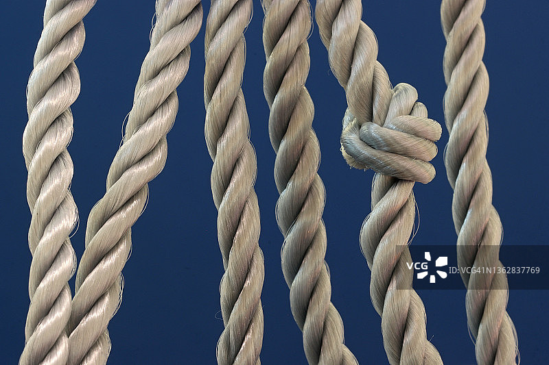 一排六根的灰色绳结丝绳图片素材