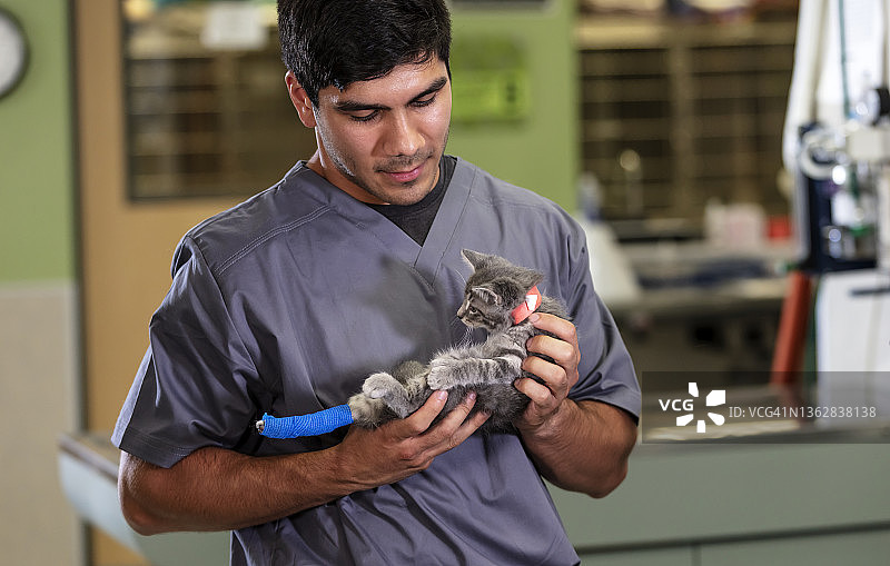 在动物诊所工作的西班牙裔男人，带着包扎好的小猫图片素材