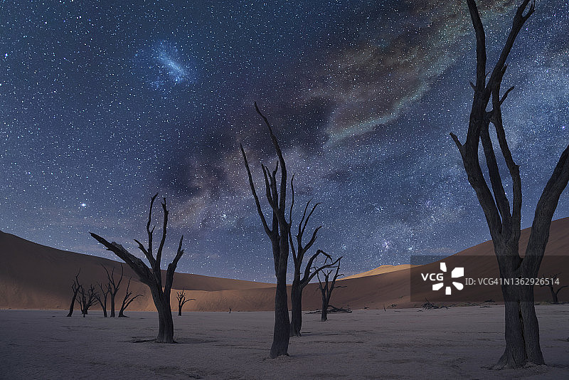 沙漠星空下的枯树图片素材