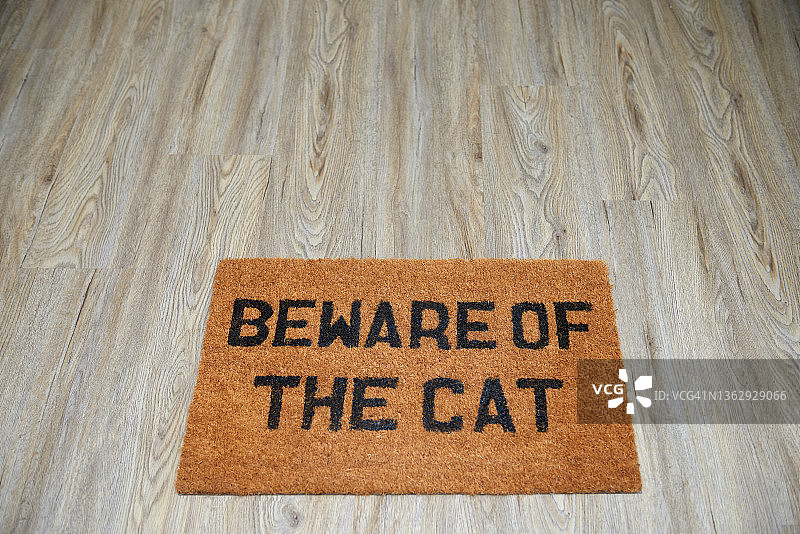 小心猫图片素材