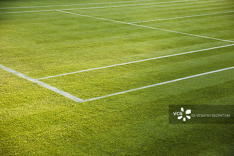 充满活力的绿色草地网球场图片素材