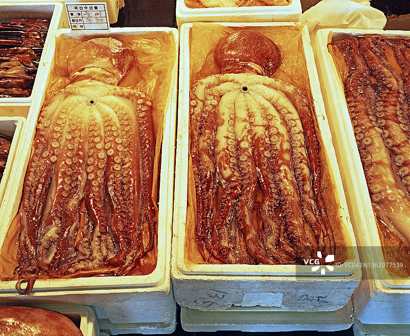 首尔鹭梁津海鲜市场图片素材