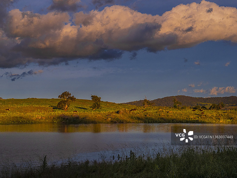 新南威尔士金达拜恩湖的夏日傍晚图片素材