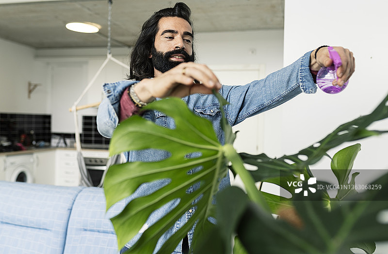 男人在家中浇花图片素材