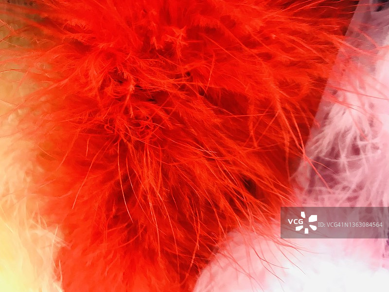 彩色蓬松羽毛图片素材