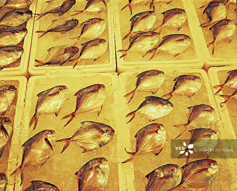 首尔鹭梁津海鲜市场图片素材