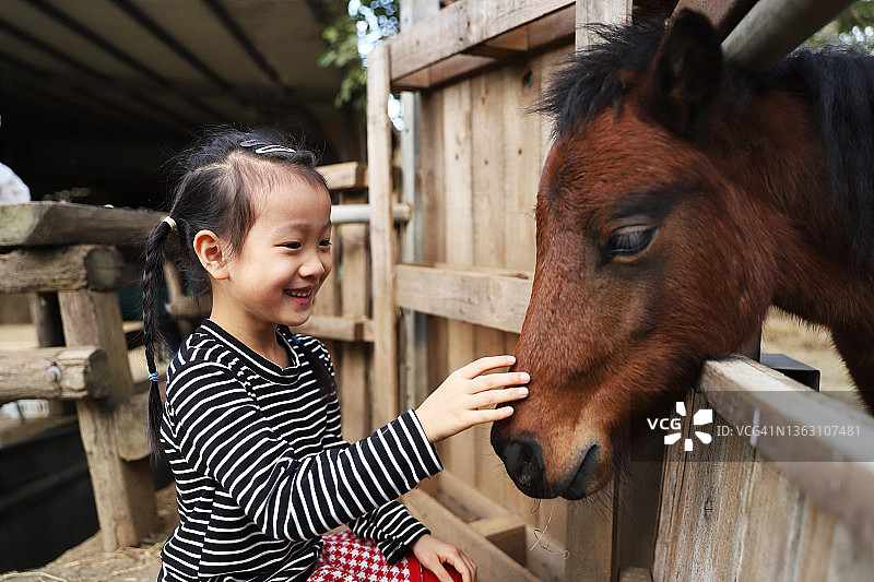 微笑的亚洲女孩与马玩耍图片素材
