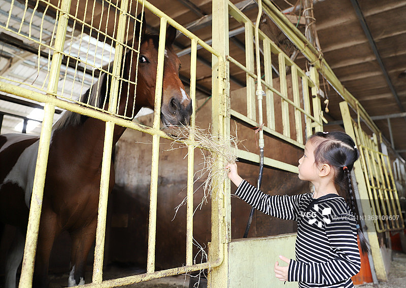 微笑的亚洲女孩与马玩耍图片素材