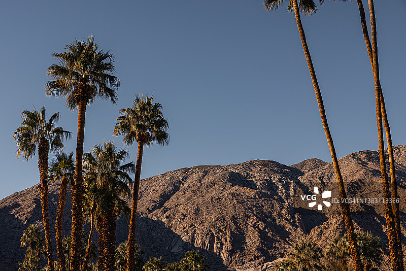 棕榈泉图片素材